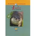 La loutre d'Europe : Description, r�partition, habitat, moeurs, observation...