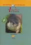 La loutre d'Europe : Description, r�partition, habitat, moeurs, observation...