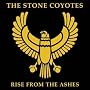 Rise From The Ashes