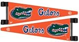 Florida Gators NCAA Antenna Pennant