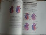 Kaplan Usmle Step 1 Lecture Notes 2012