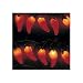 Chili Pepper Light String Light Set - Fiesta Tropical!