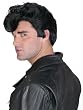 Grease Danny Wig 1950 Costume Accessory Fifties