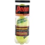 Penn Championship Extra-Duty Felt Ten...