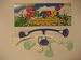 Snappi Cloth Diaper Fasteners - Pack of 3 (Mint color mix)