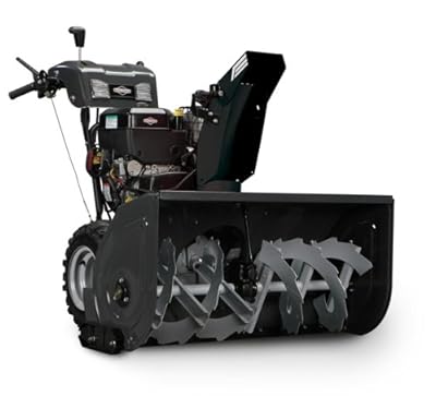 Briggs & Stratton PRO 2138 38