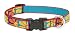 Lupine&reg; 3/4" Crazy Daisy 13-22 Adjustable Dog Collar