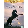 Black Stallion The [Import anglais]