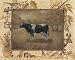Cow Anita Phillips 10x8