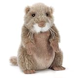 Webkinz Virtual Pet Plush - Prairie DOG 2 Free Webkinz Stickers Sheets with Secret Codes That Includes an Exclusive Online Gift for Your Webkinz Pet!