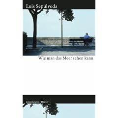 Wie man das Meer sehen kann: Erz�hlungen