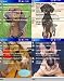 Software : Themes (Dogs)