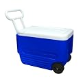 Igloo Wheelie Cool cooler - Blue (38-qt.)