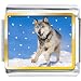Running Wolf Photo Italian Charm