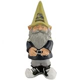 Pittsburgh Panthers Collegiate Garden Gnome