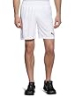 PUMA Herren Team Shorts with innerbrief, white-white, XXL, 701274 16