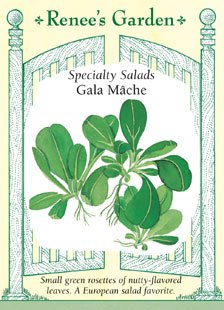 Mache, Gala Mache, Gala