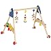 Heimess 765854 - Baby-Fit Greif- und Spieltrainer Zug