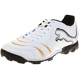 [プーマ] PUMA パワーキャット 4.10 TT