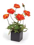 Pack of 2 Country Bistro Silk Potted Orange Poppy Flowers
