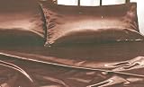 NEW SATIN SHEET SET WITH PILLOWCASES