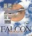 Video Games : Falcon 3.0 Gold