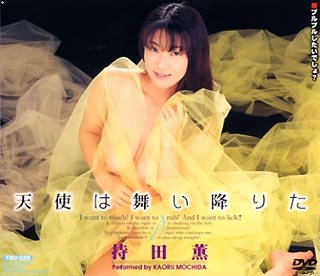 天使は舞い降りた [DVD]