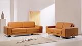 Elegant Unique Modern Contemporary Pumpkin Orange Leather Sofa Loveseat Living Room Set