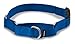 PetSafe Martingale Collar with Quick Snap Buckle, 3/4
