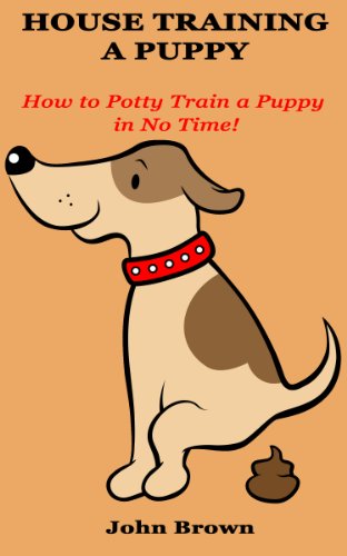 how to potty train a puppy