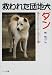 救われた団地犬ダン―見えないひとみに見えた愛