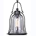 Outdoor Pendant in Noble Bronze Finish