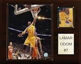 Los Angeles Lakers Lamar Odom 12"x15" Player Plaque
