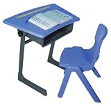 Pegasus Children Student Desk with Wood Top and Plastic Chair Set