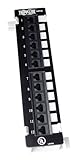 Tripp Lite N050-012 Cat5e Wall Mount Patch Panel 568B - 12 Port