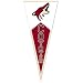 Winning Streak Sports Phoenix Coyotes Team Pennant