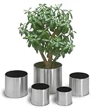 Eigenschaften Blomus 66831 / Blomus 66831 Blumentopf Ø 18 cm GREENS