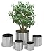 Garten & Freizeit : Blomus 66831 Blumentopf Ø 18 cm GREENS