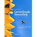 Gartenfreude Bienenfleiss: Ein Gartenbuch aus ganzheitlicher Sicht