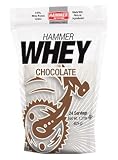 Hammer Nutrition Whey Protein (24 Servings)