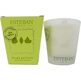 Sous Les Feuilles (Under the Leaves) Scented Decorative Candle by Esteban Paris
