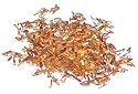 Organic Cape Rooibos, 8oz.