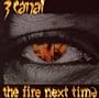 The Fire Next Time