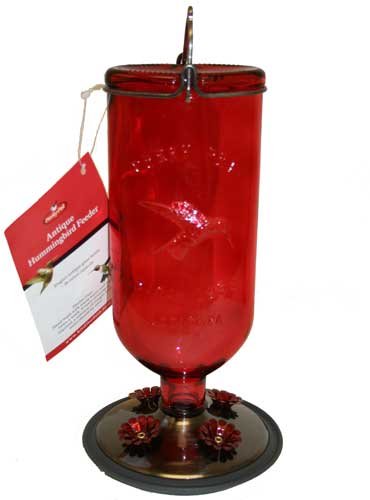 Opus 16 oz Elegant Feeder Red