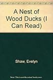 A nest of wood ducks