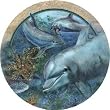 Dolphins Thirstystone Sandstone Coaster Set