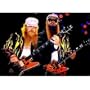 ZZ Top ~ Billy Gibbons and Dusty Hill Live On Stage ~ Rare Original Poster