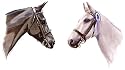 Two Horses Animal POSTCARD of Steve Greaves Painting Art
