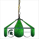Wave 7 MSU-140 Michigan State University 14 Wide Swag Hanging Lamp