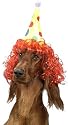 Pet Clown Dog Costume Hat For Large Dogs